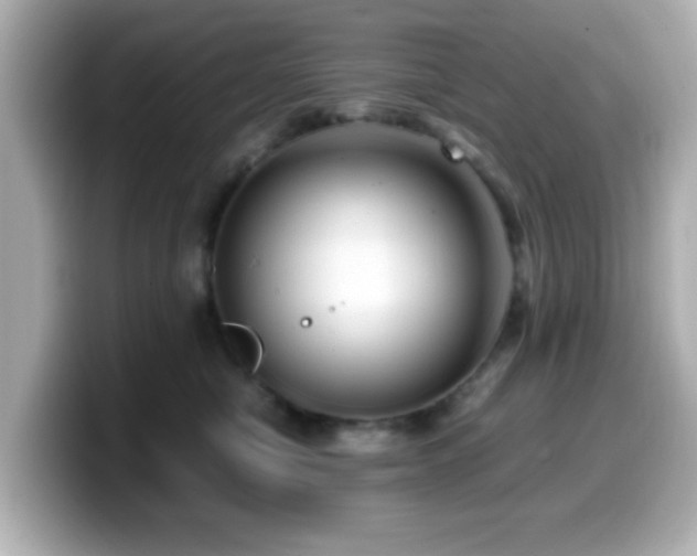 X0000099990470200805231456