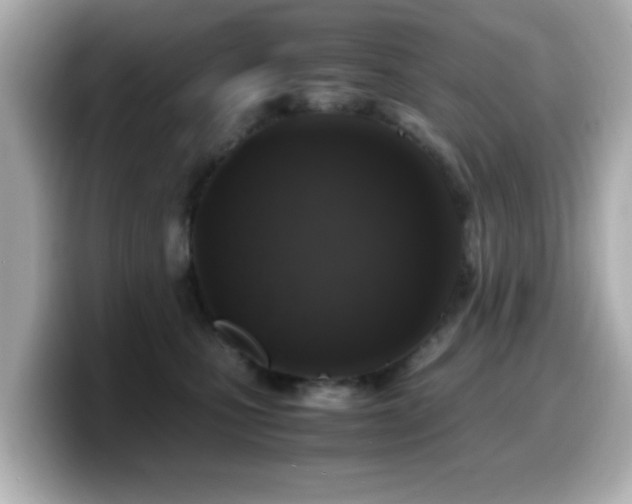 X0000099990471200805231456