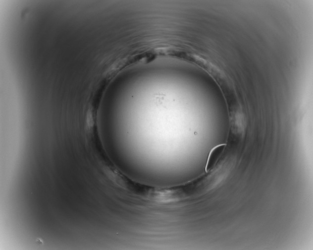 X0000099990472200805231456