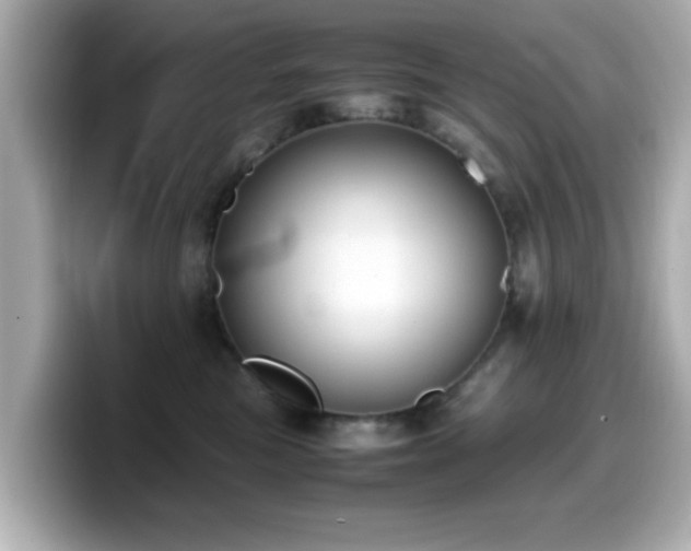 X0000099990473200805231456
