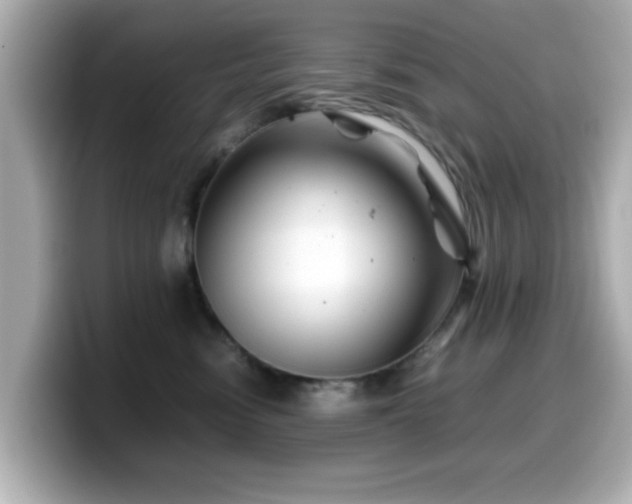 X0000099990474200805231456