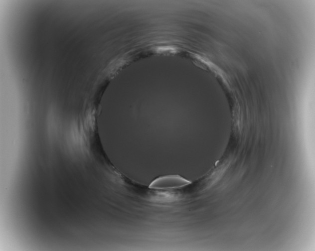 X0000099990475200805231456