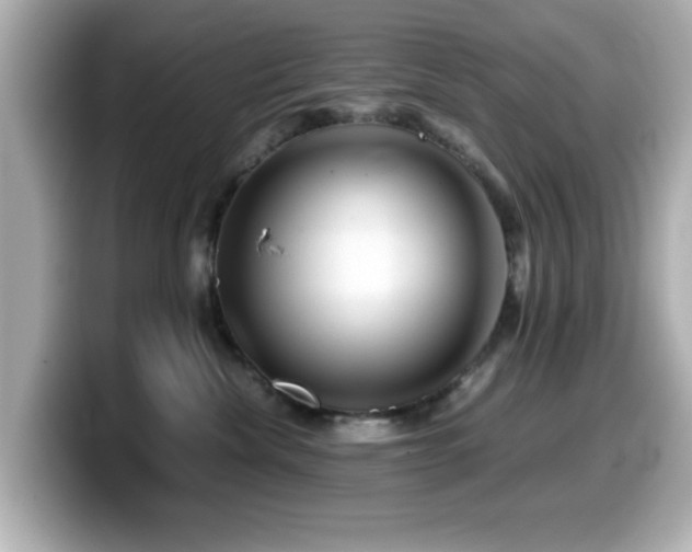 X0000099990476200805231456
