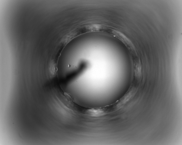 X0000099990477200805231456