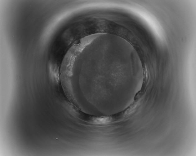 X0000099990479200805231456