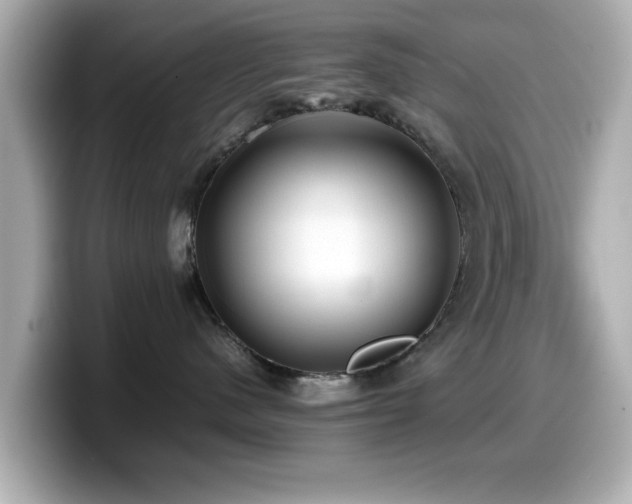 X0000099990480200805231456