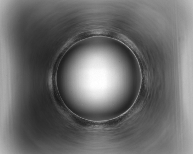 X0000099990482200805231455