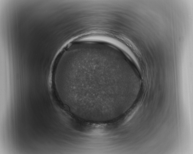 X0000099990484200805231455