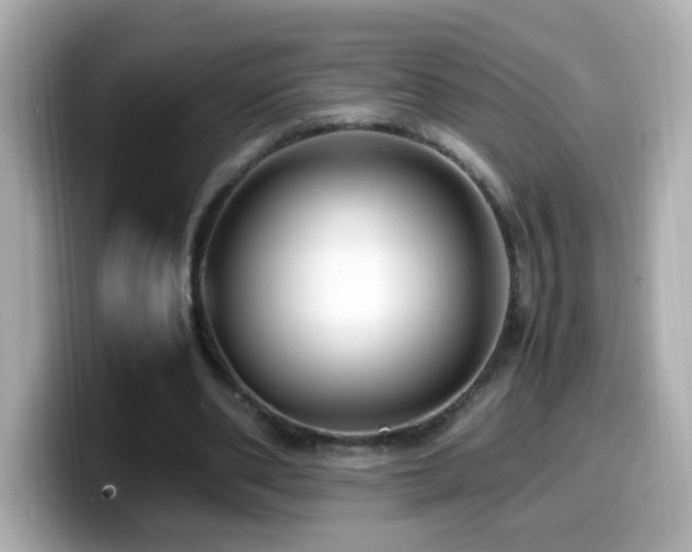 X0000099990486200805231455