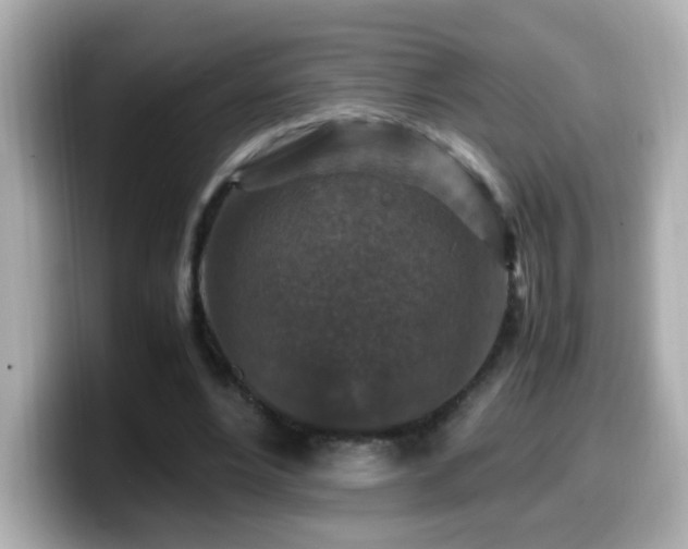 X0000099990488200805231455