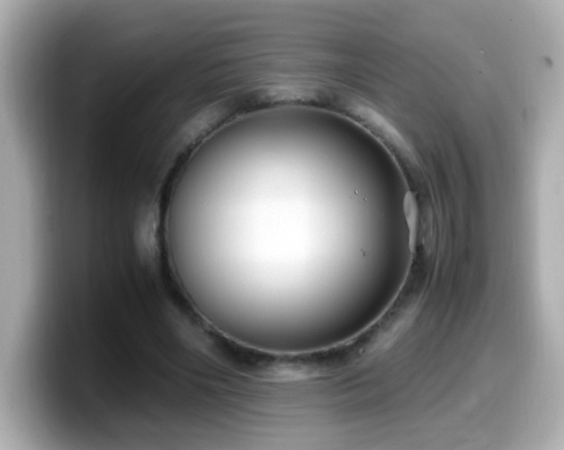 X0000099990490200805231455