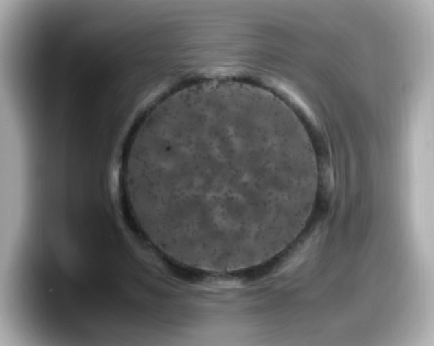 X0000099990491200805231455