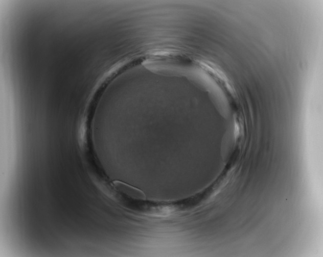 X0000099990492200805231455