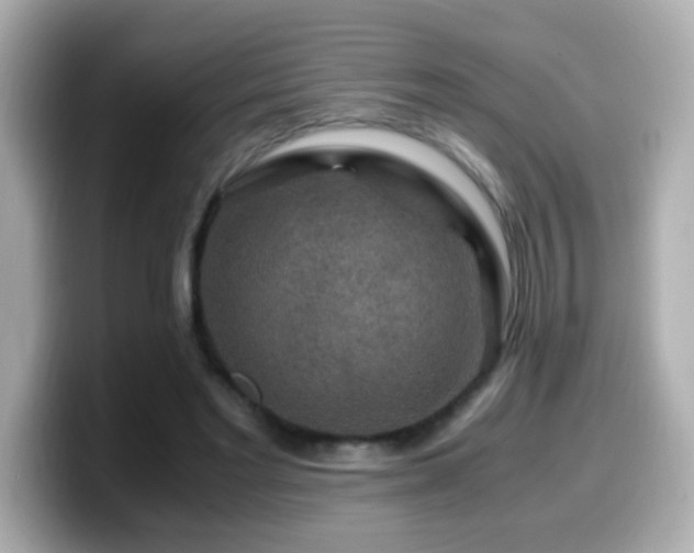 X0000099990493200805231455