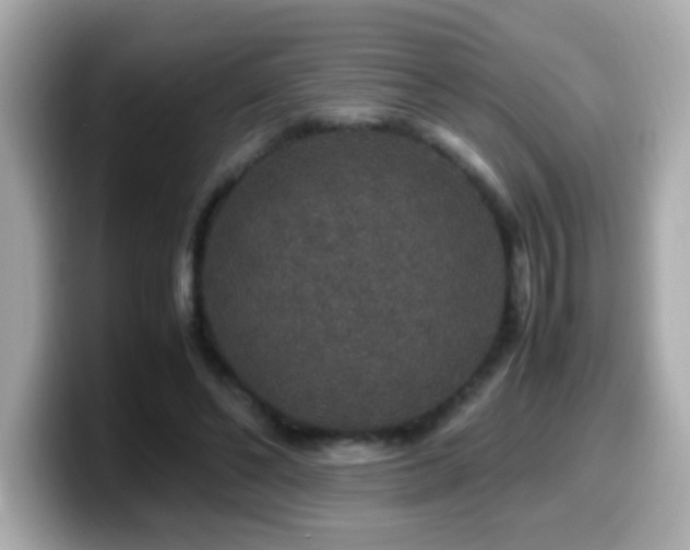 X0000099990494200805231455