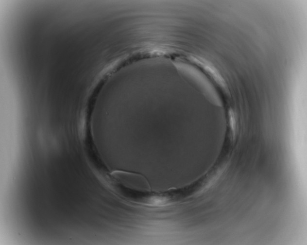 X0000099990496200805231455