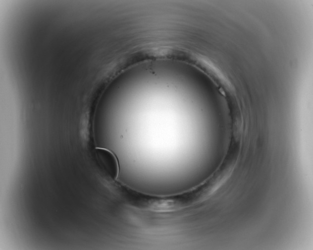 X0000099990497200805231455