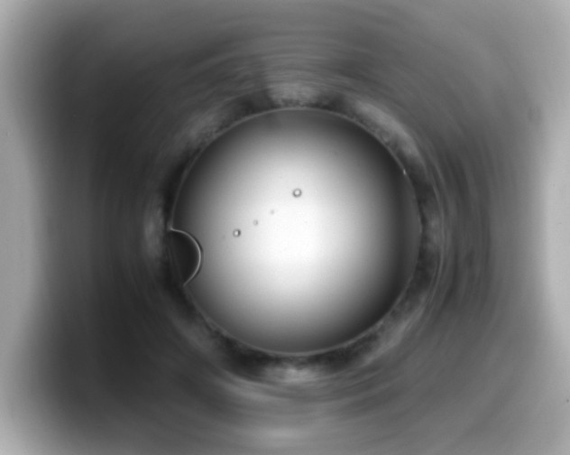 X0000099990498200805231455