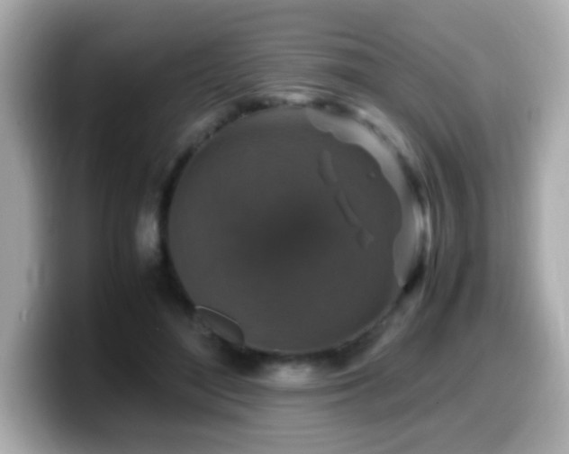 X0000099990500200805231455
