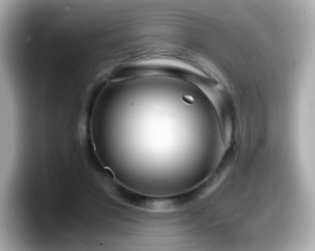 X0000099990501200805231455