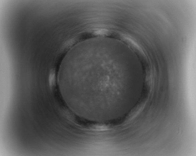 X0000099990502200805231455