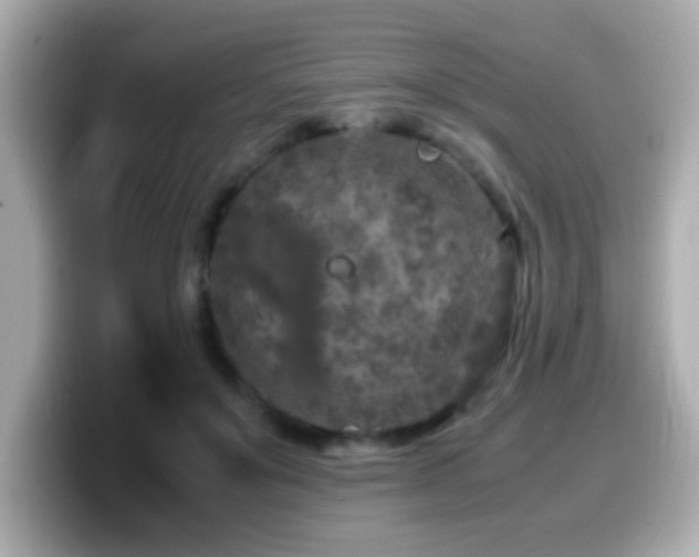 X0000099990503200805231455