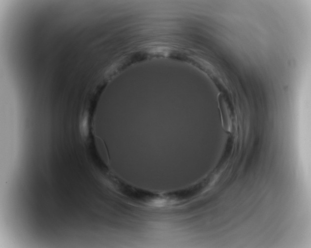X0000099990504200805231455