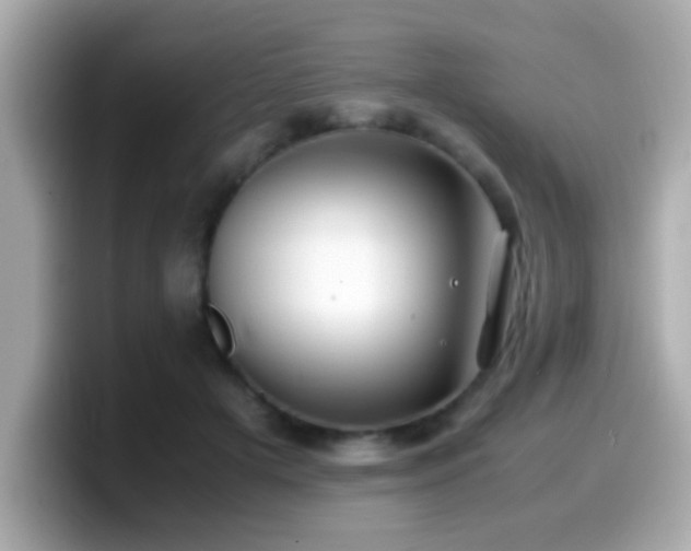 X0000099990505200805231455