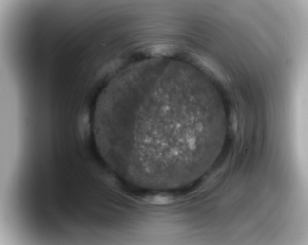 X0000099990506200805231455