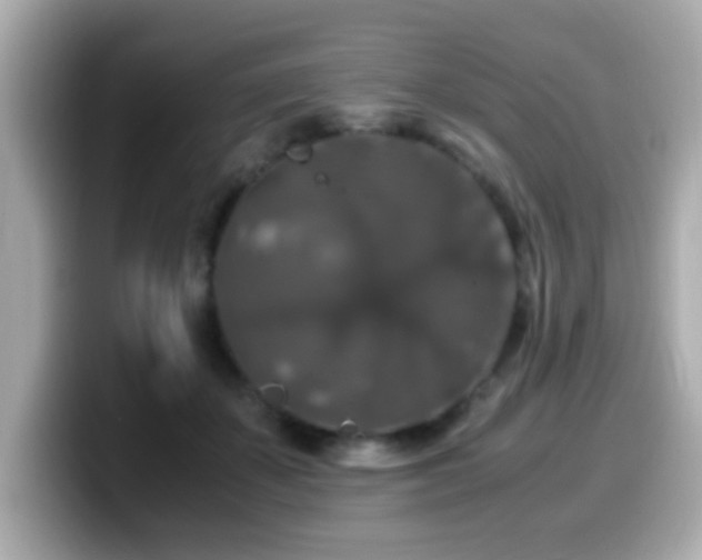 X0000099990507200805231455