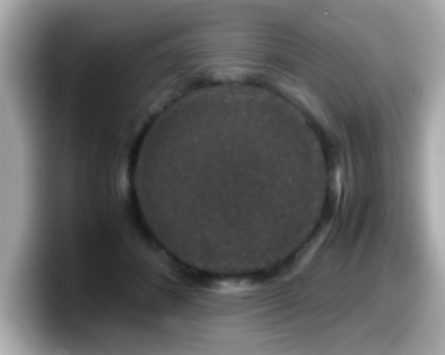 X0000099990508200805231455