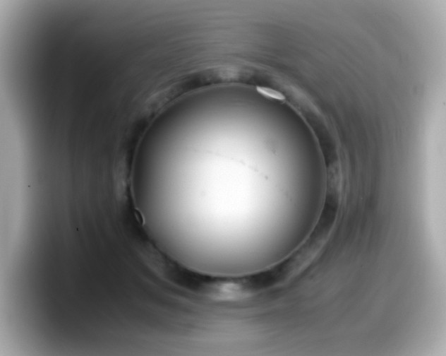 X0000099990509200805231455