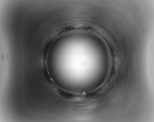 X0000099990510200805231455
