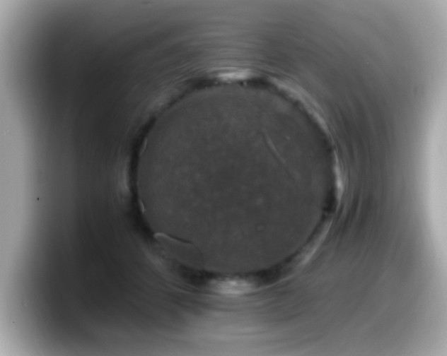 X0000099990512200805231455