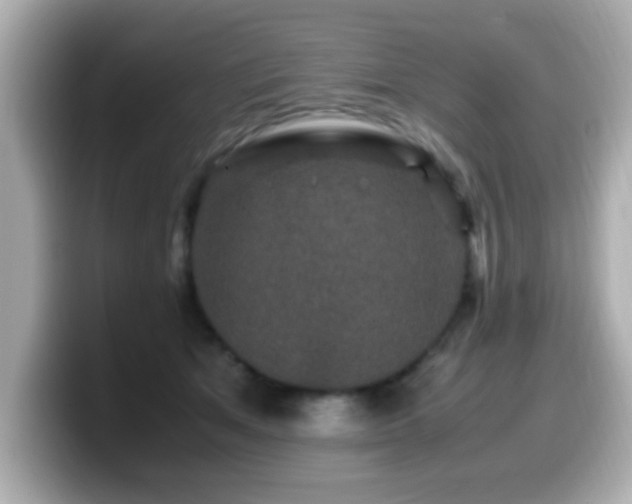 X0000099990513200805231455