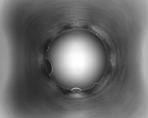 X0000099990514200805231455