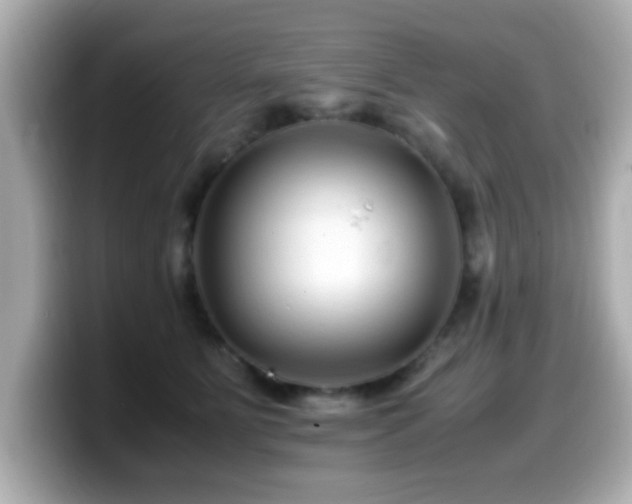 X0000099990515200805231455