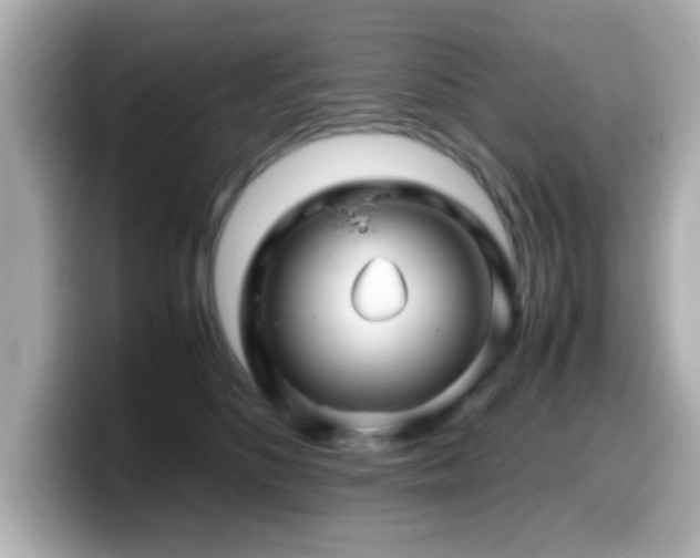 X0000099990516200805231455
