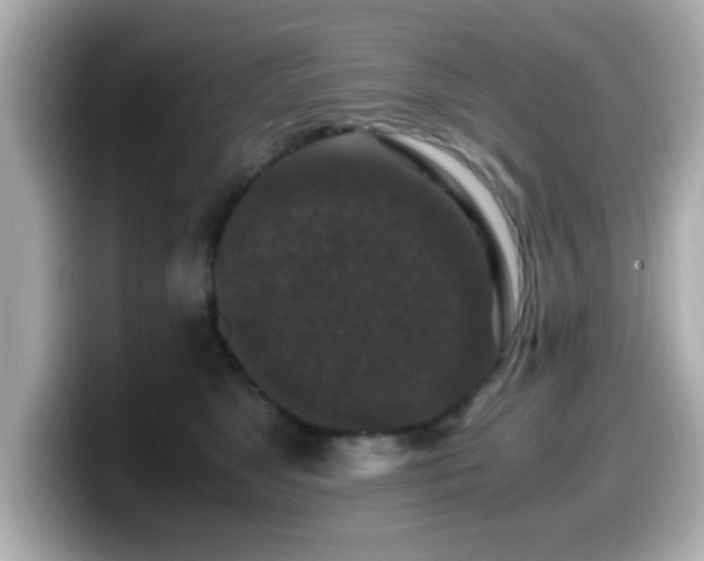 X0000099990517200805231455