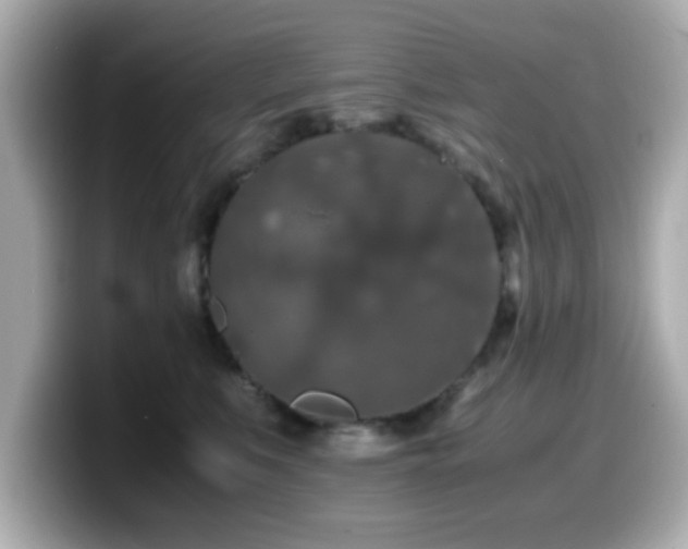X0000099990519200805231455