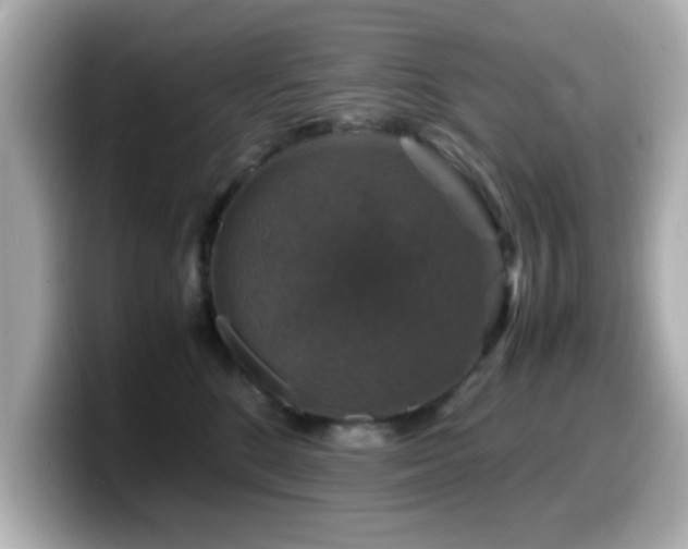 X0000099990520200805231455