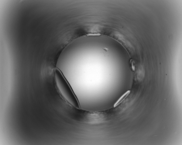 X0000099990521200805231455
