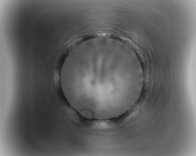 X0000099990523200805231455