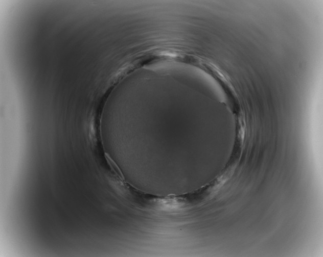 X0000099990524200805231455