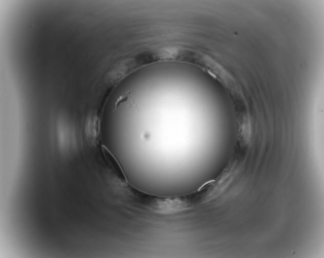 X0000099990525200805231455