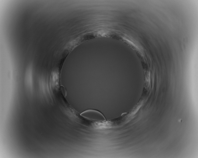 X0000099990526200805231455