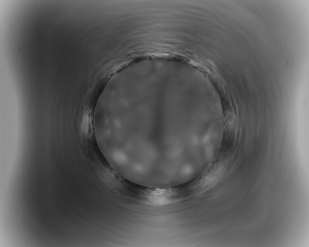 X0000099990527200805231455