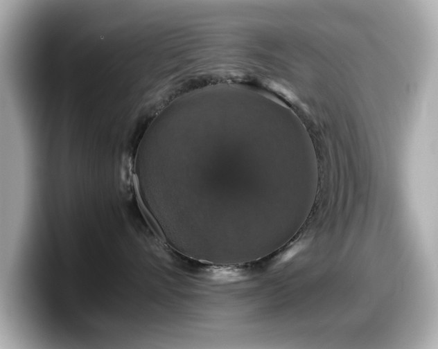X0000099990528200805231455
