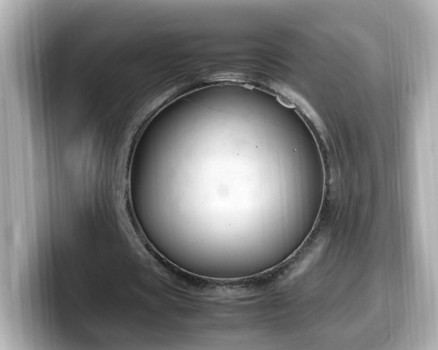 X0000099990529200805231454