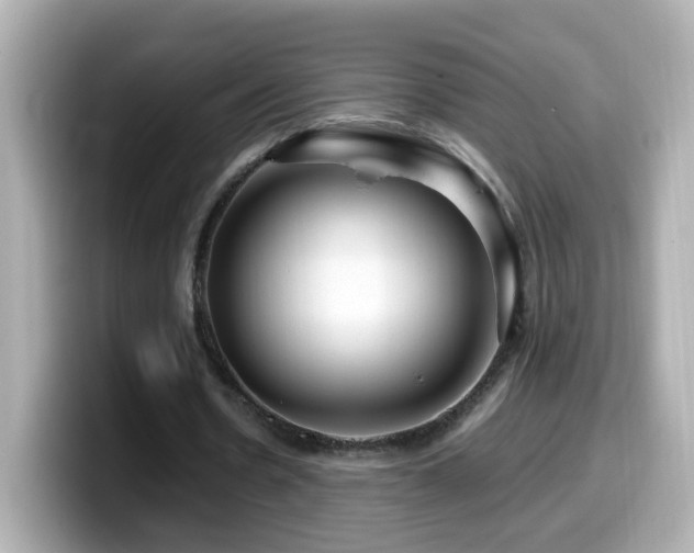 X0000099990530200805231454